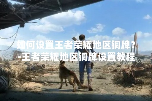 如何设置王者荣耀地区铜牌？-王者荣耀地区铜牌设置教程