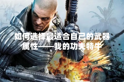 如何选择最适合自己的武器属性——我的功夫特牛