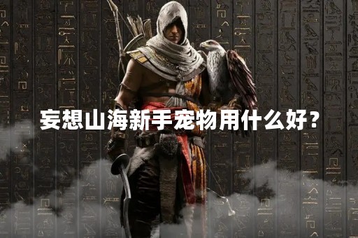 妄想山海新手宠物用什么好？