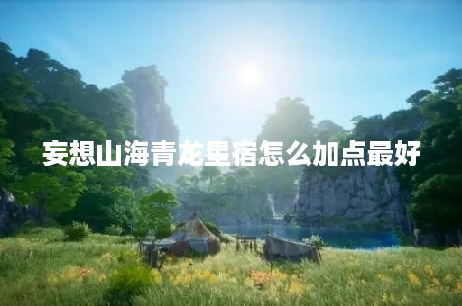 妄想山海青龙星宿怎么加点最好
