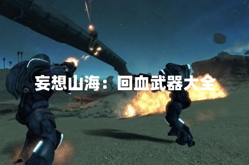 妄想山海：回血武器大全
