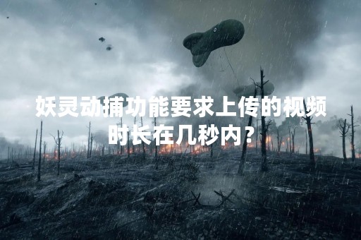 妖灵动捕功能要求上传的视频时长在几秒内？