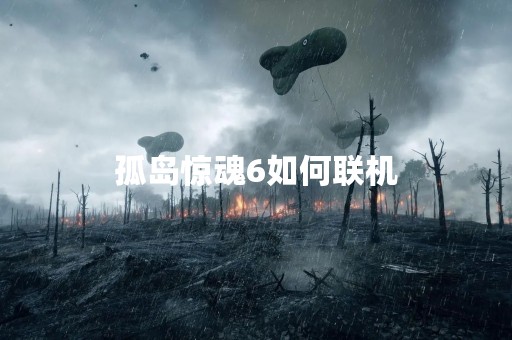 孤岛惊魂6如何联机