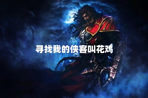 寻找我的侠客叫花鸡
