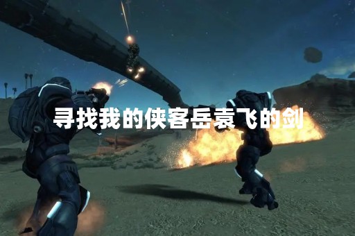 寻找我的侠客岳袁飞的剑