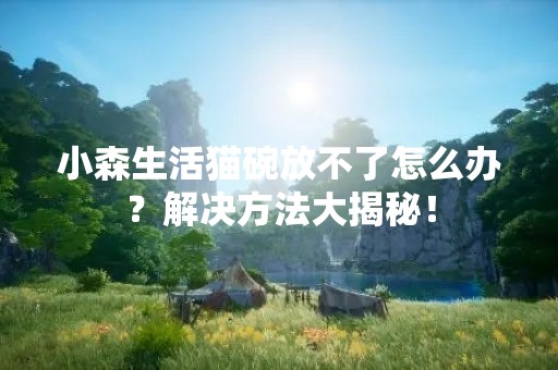 小森生活猫碗放不了怎么办？解决方法大揭秘！