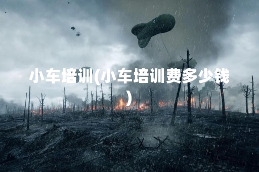 小车培训(小车培训费多少钱)