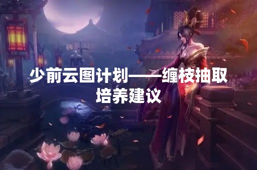 少前云图计划——缠枝抽取培养建议