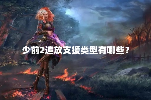 少前2追放支援类型有哪些？