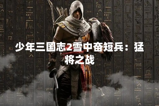 少年三国志2雪中奋短兵：猛将之战
