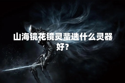 山海镜花镜灵蜚选什么灵器好？