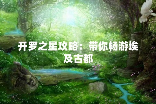 开罗之星攻略：带你畅游埃及古都