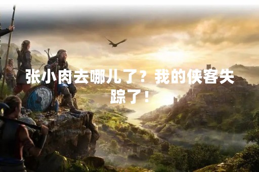 张小肉去哪儿了？我的侠客失踪了！