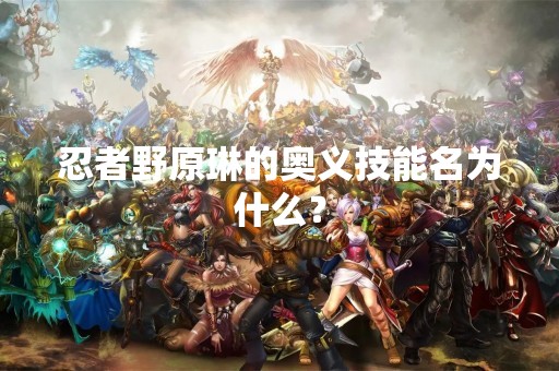 忍者野原琳的奥义技能名为什么？