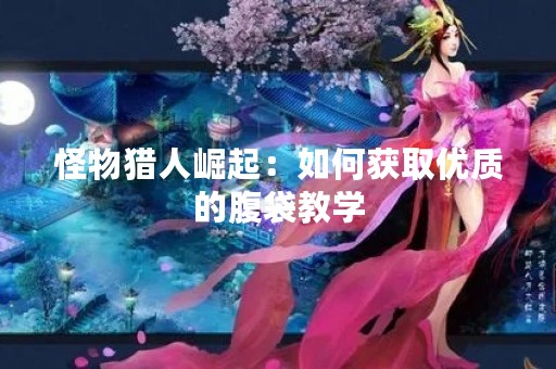 怪物猎人崛起：如何获取优质的腹袋教学