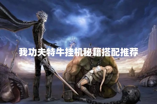 我功夫特牛挂机秘籍搭配推荐
