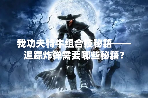 我功夫特牛组合技秘籍——追踪炸弹需要哪些秘籍？