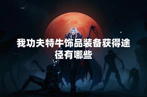 我功夫特牛饰品装备获得途径有哪些
