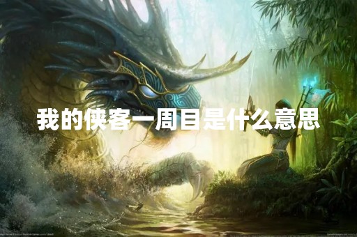 我的侠客一周目是什么意思