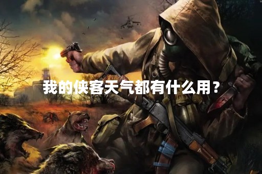 我的侠客天气都有什么用？