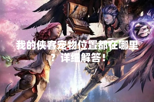 我的侠客宠物位置都在哪里？详细解答！