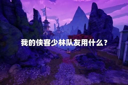我的侠客少林队友用什么？