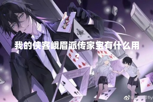 我的侠客峨眉派传家宝有什么用？