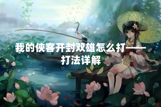 我的侠客开封双雄怎么打——打法详解