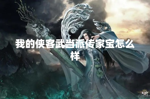 我的侠客武当派传家宝怎么样