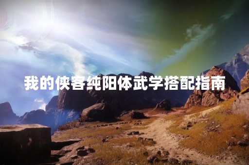 我的侠客纯阳体武学搭配指南
