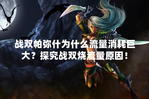 战双帕弥什为什么流量消耗巨大？探究战双烧流量原因！