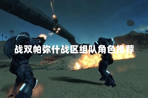 战双帕弥什战区组队角色推荐