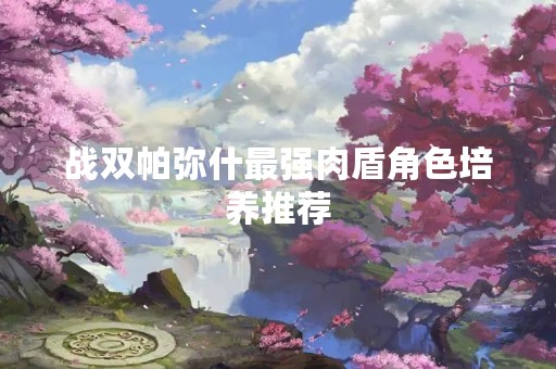 战双帕弥什最强肉盾角色培养推荐