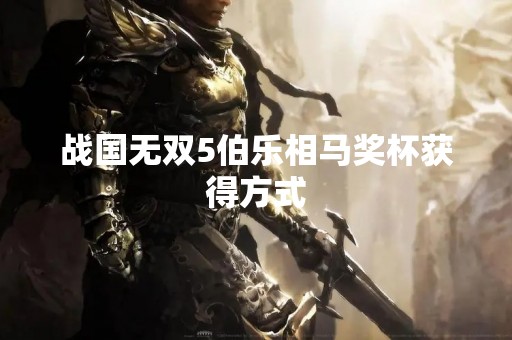 战国无双5伯乐相马奖杯获得方式