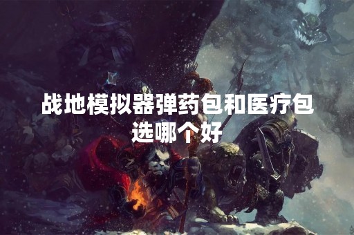 战地模拟器弹药包和医疗包选哪个好