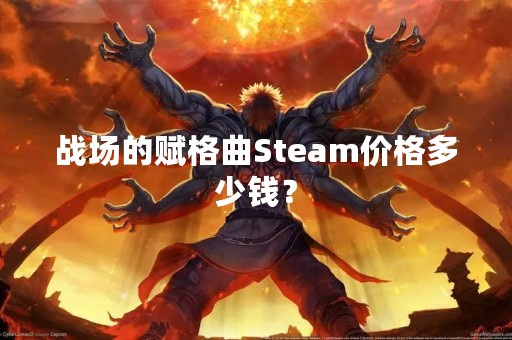 战场的赋格曲Steam价格多少钱？