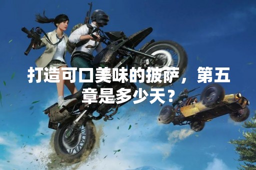 打造可口美味的披萨，第五章是多少天？