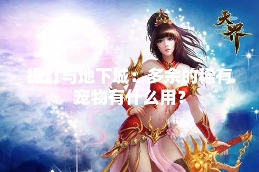 提灯与地下城:多余的稀有宠物有什么用? 提灯与地下城:多余的稀有宠物有什么用?