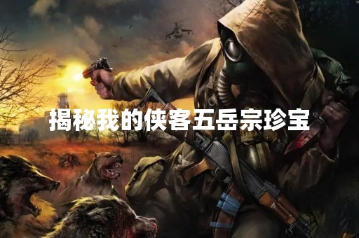 揭秘我的侠客五岳宗珍宝