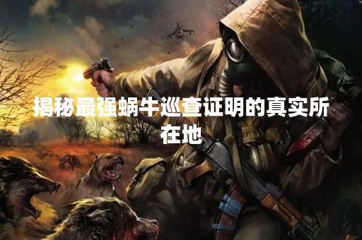 揭秘最强蜗牛巡查证明的真实所在地