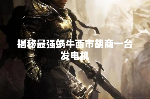 揭秘最强蜗牛西市胡商一台发电机