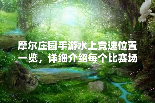 摩尔庄园手游水上竞速位置一览，详细介绍每个比赛场地