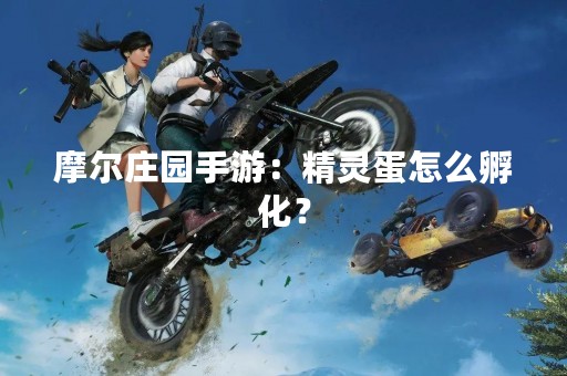 摩尔庄园手游：精灵蛋怎么孵化？