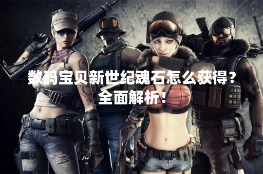 数码宝贝新世纪魂石怎么获得？全面解析！