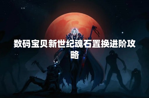 数码宝贝新世纪魂石置换进阶攻略