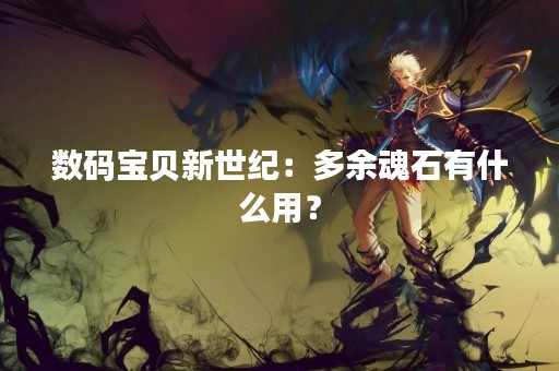 数码宝贝新世纪：多余魂石有什么用？