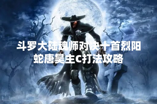 斗罗大陆魂师对决十首烈阳蛇唐昊主C打法攻略