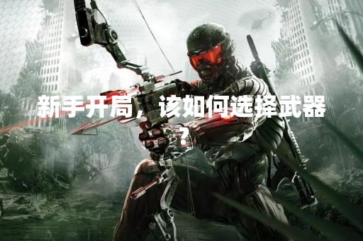 新手开局，该如何选择武器？