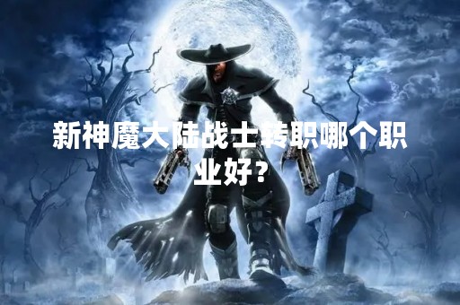 新神魔大陆战士转职哪个职业好？