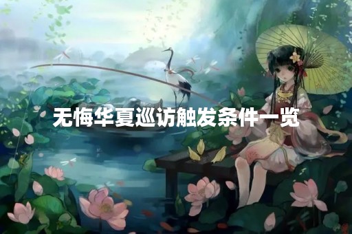 无悔华夏巡访触发条件一览